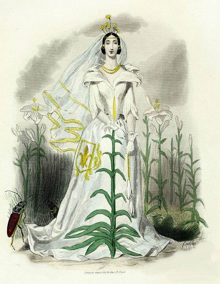 Величественная белая Лилия. Иллюстрация Жана Гранвиля из книги «Les Fleurs Animées» (Ожившие цветы), 1847 г.